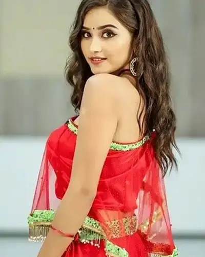 Call Girls Service Aravakurichi
